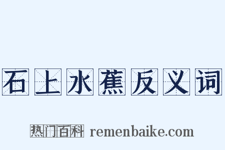 石上水蕉反义词是什么意思的图片